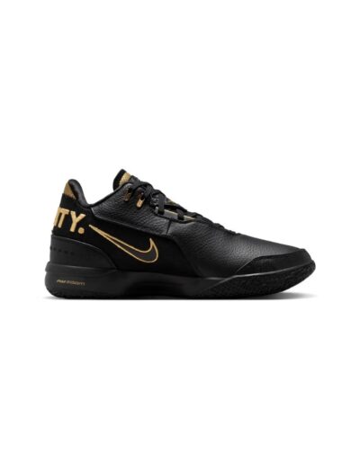 Zoom LeBron NXXT Gen Equity
